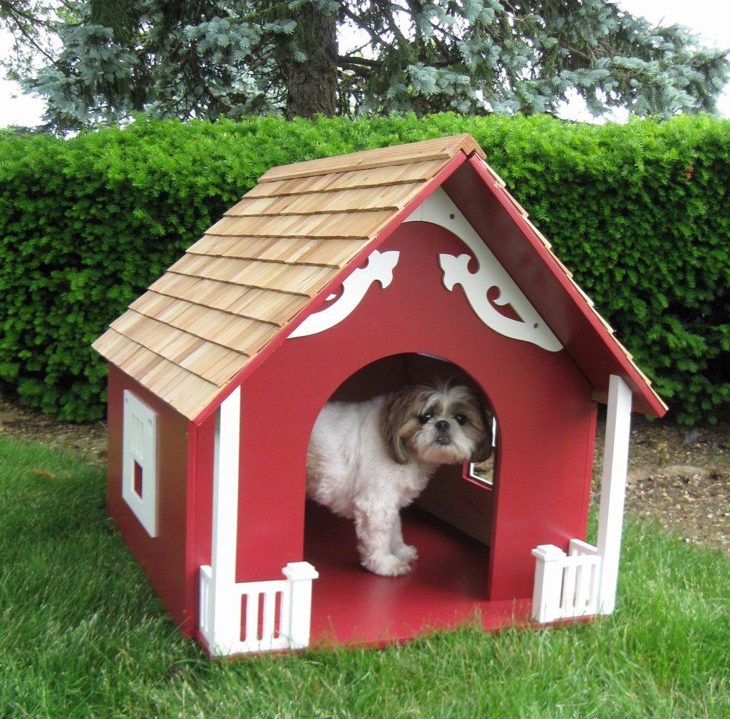 Дом для красной собаки