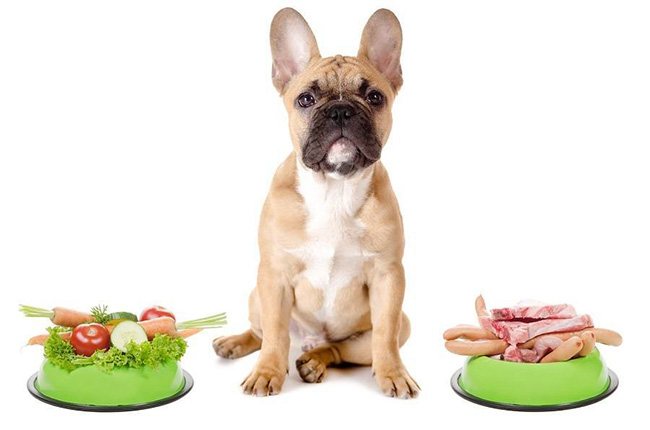 Что такое натуральная диета для собак